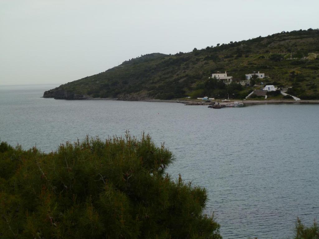 自由ii酒店 Agia Marina  外观 照片